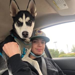 Meet your Posher, Daniel